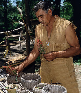 indian healer using plants